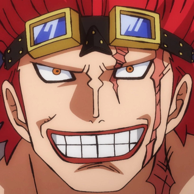 Kid Pirates One Piece Wiki Fandom