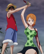 Luffy Stops Nami
