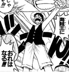 SBS91 Luffy