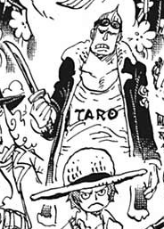 Taro Second Outfit