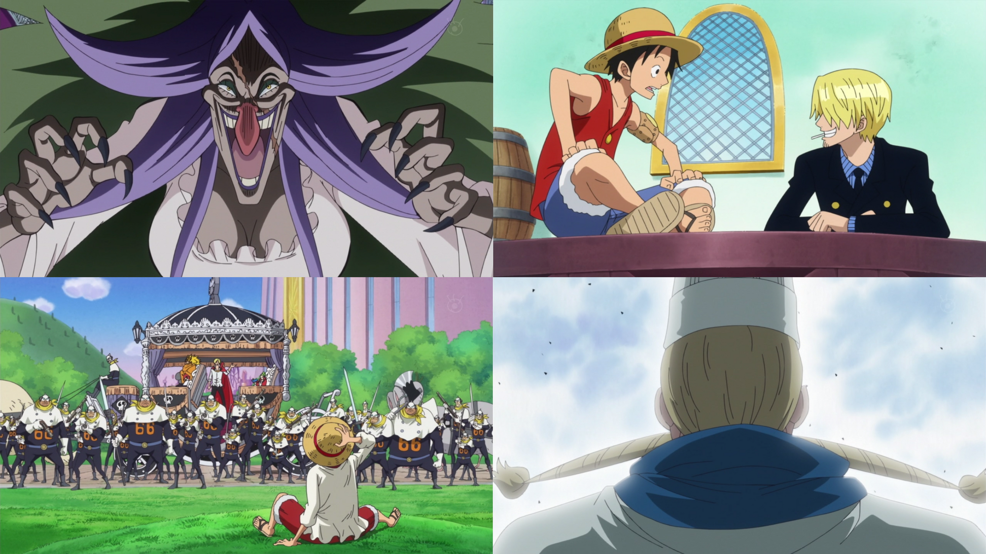 Episodio 807 | One Piece Wiki | Fandom