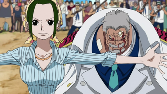 Makino One Piece Wiki Fandom