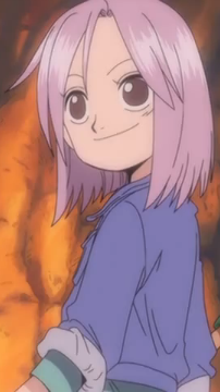 Isoka One Piece Wiki Fandom