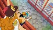 Luffy vs Aphelandra1