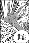 SBS62 2hands