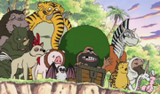 Aniamis estranhos