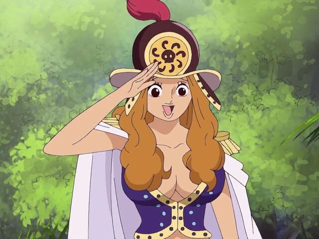 Datei:Aphelandra.jpg