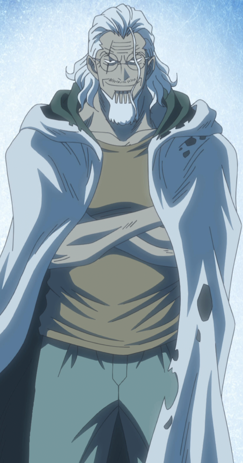 Silvers Rayleigh  One Piece Wiki  FANDOM powered by Wikia