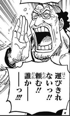 Tegata Ringana One Piece Wiki FANDOM powered by Wikia Tegata Ringana One Piece Wiki FANDOM powered by Wikia