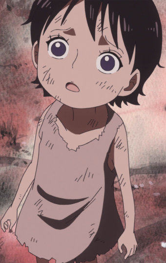 Baby 5 One Piece Wiki Fandom