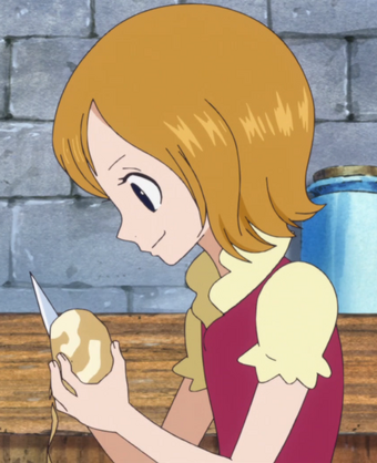 Koala One Piece Wiki Fandom