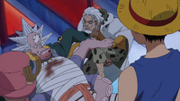 Rayleigh Helping Hatchi