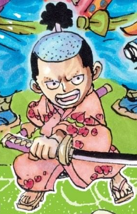 Kozuki Momonosuke One Piece Wiki Fandom