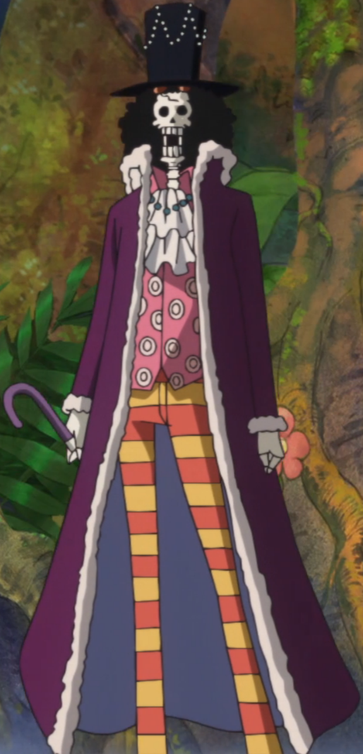 one piece brook outfits