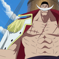 Edward Newgate One Piece Wiki Fandom