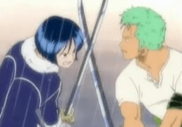 Zoro vs tashigi