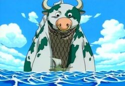 Moomo
