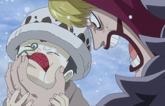 One Piece Wallpaper One Piece Law Without His Hat One Piece Wallpaper One Piece Law Without His Hat