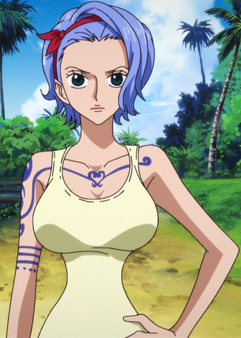 Nojiko One Piece Wiki Fandom