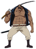 Fossa | One Piece Wiki | FANDOM powered by Wikia