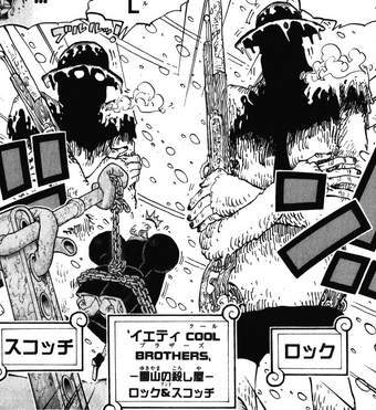 Yeti Cool Brothers One Piece Wiki Fandom