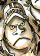 Gorilla giovane