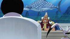 Sengoku and Kong