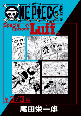 Special Episode Luff One Piece Wiki Fandom