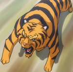 Wano Tiger