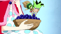 Leo throws poisoned grape