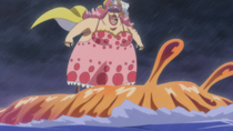 Candy Sea Slug