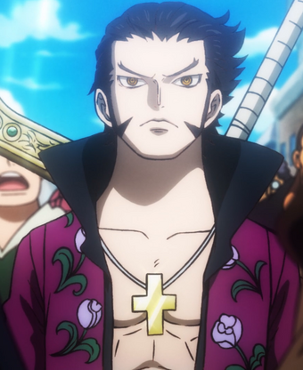 Dracule Mihawk One Piece Wiki Fandom