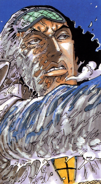 Kuzan One Piece Wiki Fandom