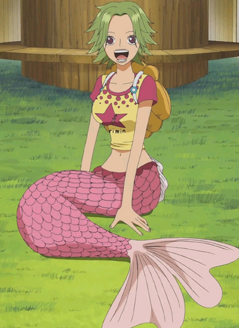 Camie One Piece Wiki Fandom