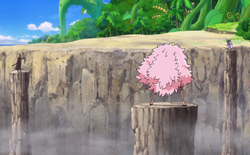 Do Flamingo vs Law vs Fujitora