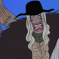 Doc Q One Piece Wiki Fandom