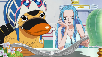 Karoo One Piece Wiki Fandom