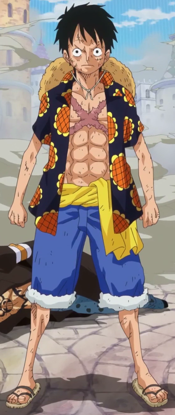 Image Luffy Anime Après Ellipse Infobox.png One Piece Encyclopédie FANDOM powered by Wikia