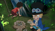Sabo contando dinero