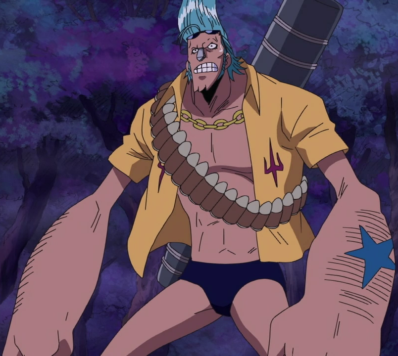 franky one piece franky one piece