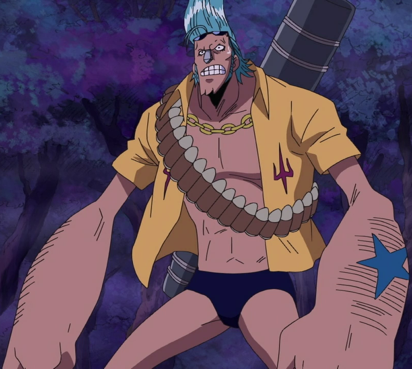 franky one piece relationships