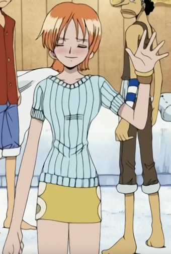 Nami Gallery One Piece Wiki Fandom