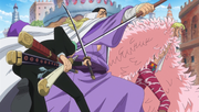Zoro vs. Fujitora