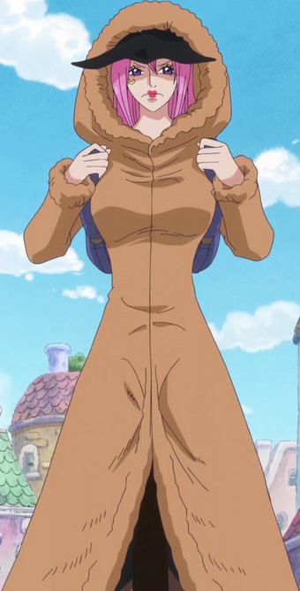 Jewelry Bonney One Piece Wiki Fandom