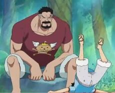 Luffy entrenamiento