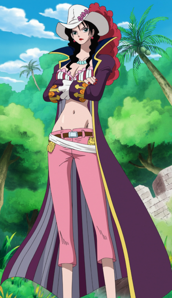 Anime Pirates Devil Fruit