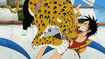 Lucci Melukai Luffy dalam Bentuk Leopard