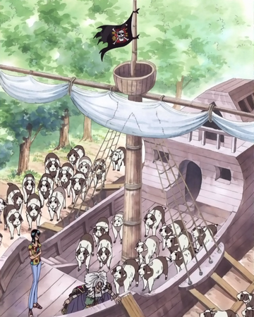 Zenny Ship One Piece Wiki Fandom