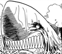 Tiburón