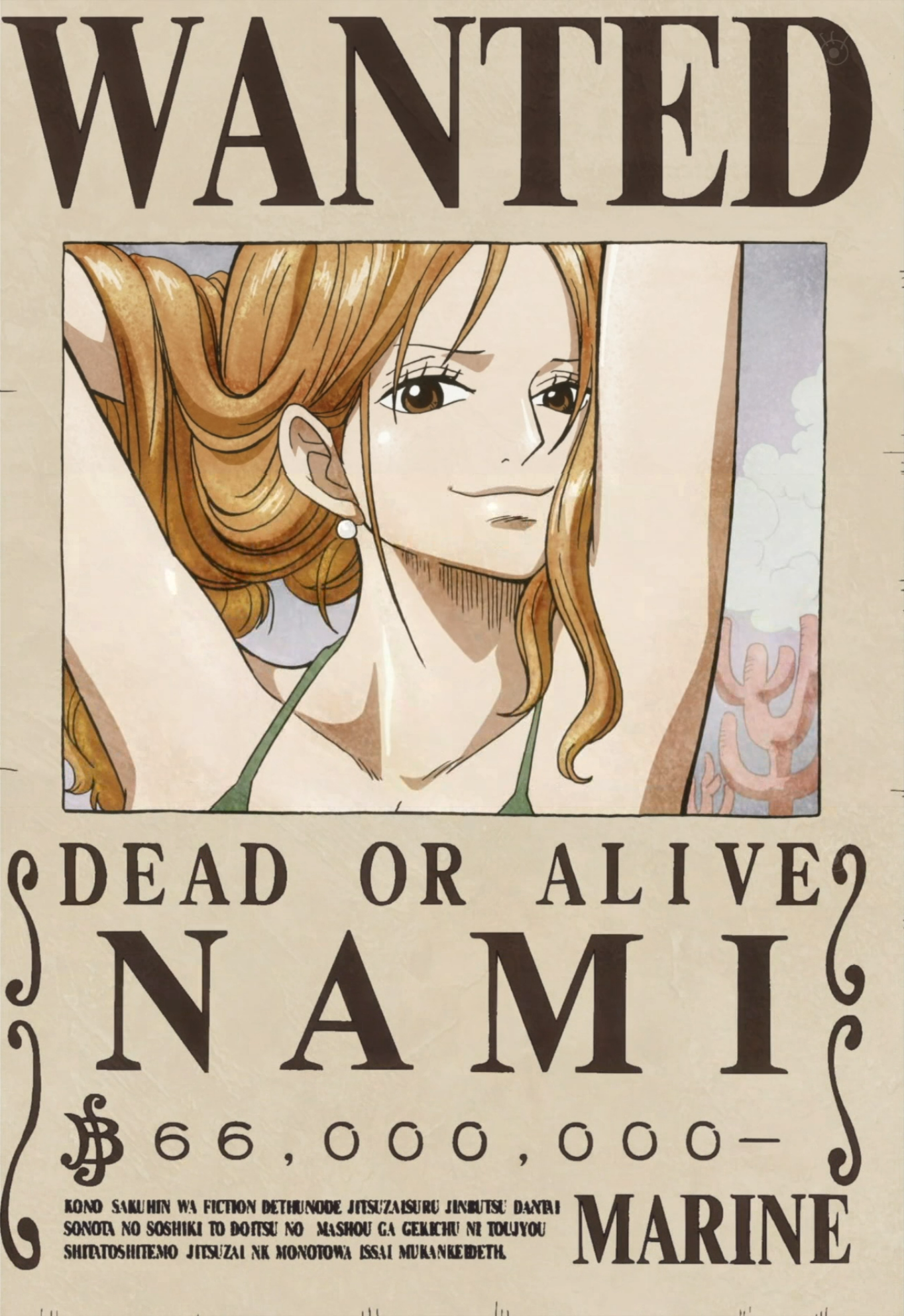 Imagen - Actual cartel de Nami.png | One Piece Wiki ...